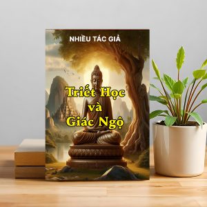 Triết Học & Giác Ngộ – Khi tư duy chạm tới sự thức tỉnh nội tâm