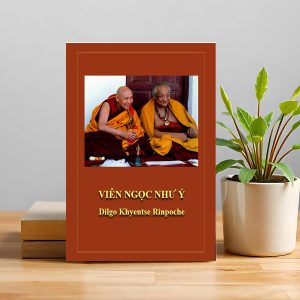 Viên Ngọc Như Ý – Ánh sáng chỉ đường cho người tu trên hành trình giác ngộ